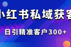 (14304期)2025最新小红书平台引流获客截流自热玩法讲解,日引精准客户300+