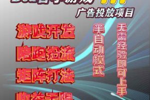 （16175期）抖音小游戏广告推广项目，2025最新实测落地，单日收益300+