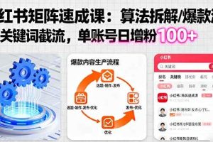 （16231期）小红书矩阵起号速成课：算法拆解/爆款流水线/关键词截流 单账号日增粉100+