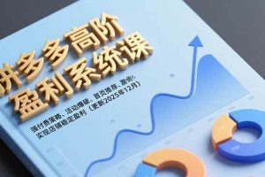 (16843期)拼多多高阶盈利系统课,强付费策略、活动爆破、首页推荐,实现店铺稳定盈利(更新12月)