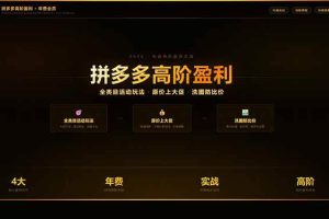 （17799期）拼多多高阶盈利年费会员(更新3月)：全类目活动玩法、原价上大促、洗图防比价等核心盈利技术